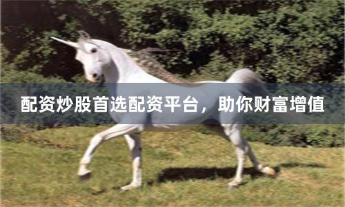 配资炒股首选配资平台，助你财富增值