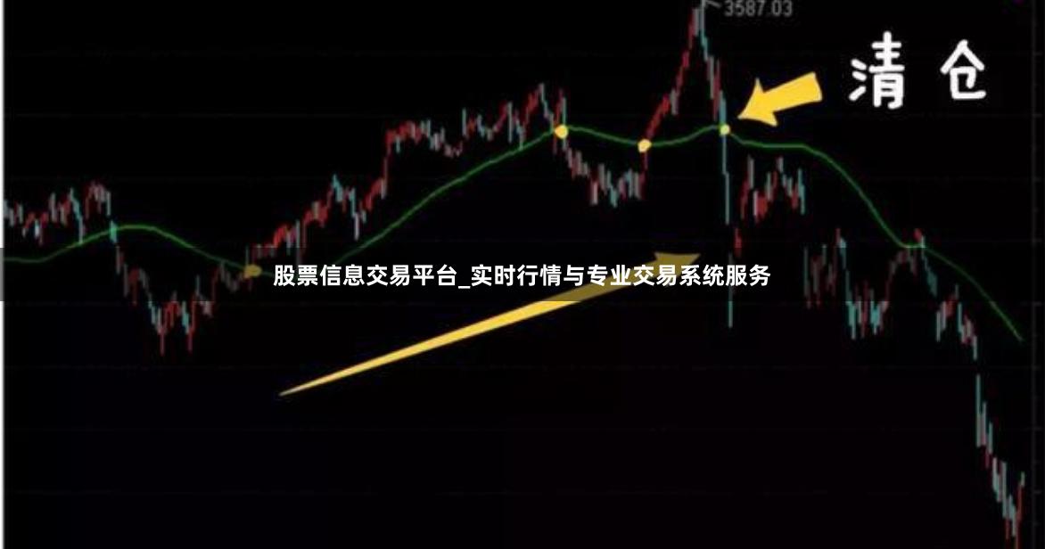 股票信息交易平台_实时行情与专业交易系统服务