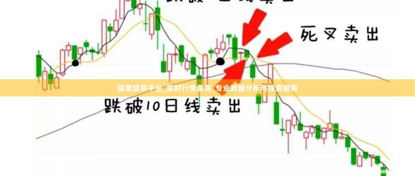 股票信息平台_实时行情查询_专业数据分析与投资指南