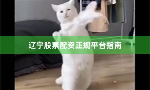 辽宁股票配资正规平台指南