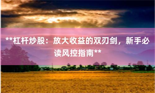 **杠杆炒股：放大收益的双刃剑，新手必读风控指南**