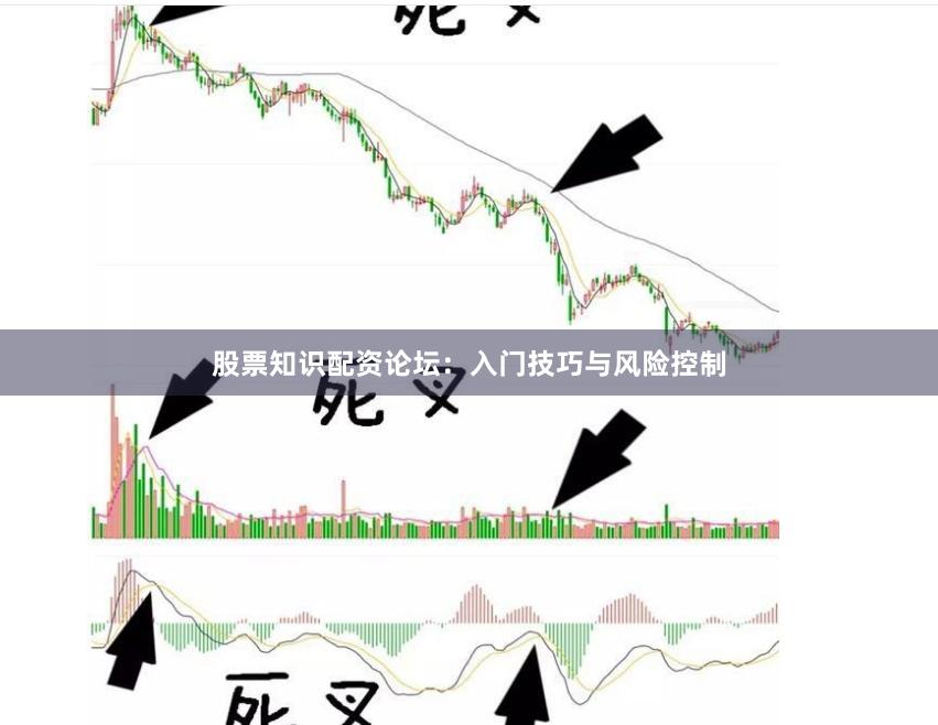股票知识配资论坛：入门技巧与风险控制